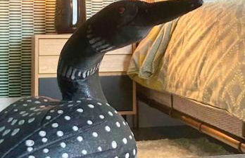 Spacious Semi-detached Southsea House, Free Parking On Drive - Photo 9