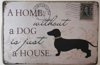 Woof & Sun - Foto 29