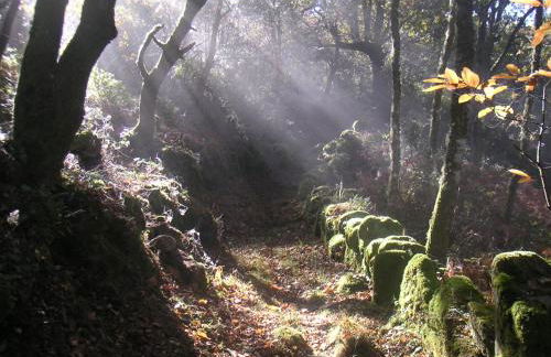A Casa da Eira - Foto 22