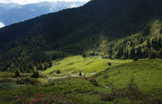 Holiday Apartment Anna - Foto 13