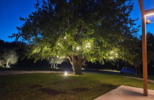 Orto della Lepre - Foto 16