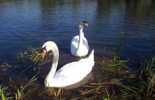 Gästehaus Brunhilde - Foto 7