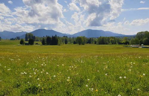 SEINZ Tiny House Natururlaub - Foto 18