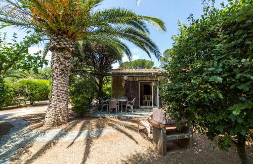 Résidence les Arbousiers - Foto 2