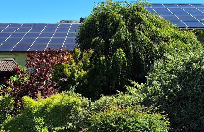 Relaxing Holiday Home in Willersdorf in the Forest - Photo 66