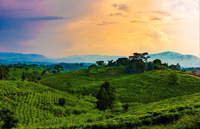 Uganda Tour Package: 10 Days - Photo 6