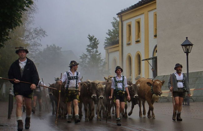 Holiday Apartment Lucky guy - Photo 23