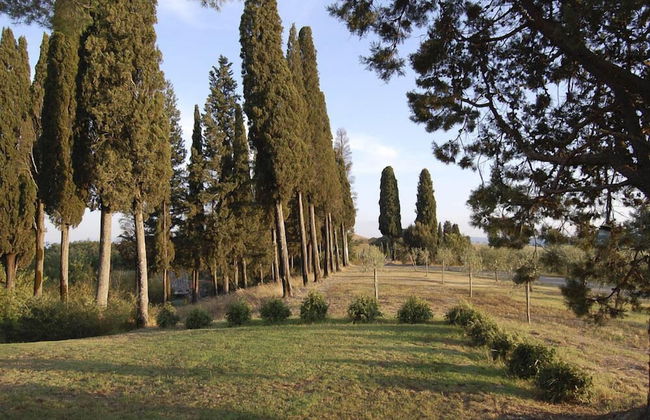 Verdidea - SANTO STEFANO - Foto 34