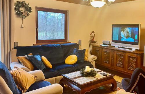 BESKIDIUM - uroczy dom Brenna - Foto 14