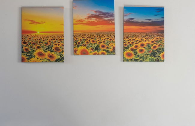 360 Degree View Over the Tuscan Hills - Foto 76