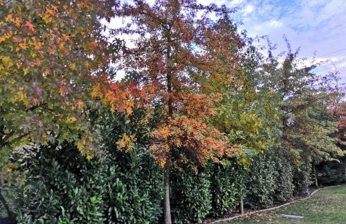 Casa do Passal Country House - Foto 24