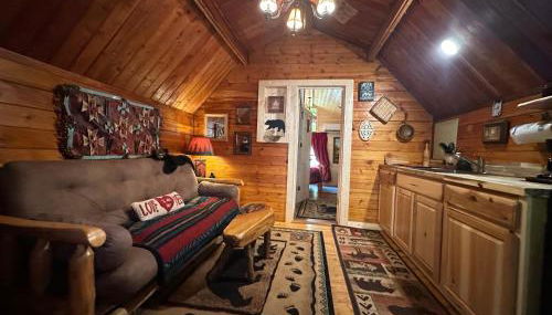 Big Bear Log cabin - Foto 5