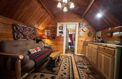 Big Bear Log cabin - Photo 5