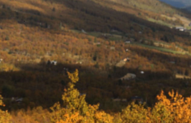 Havsdalsgrenda Apartments - Photo 48