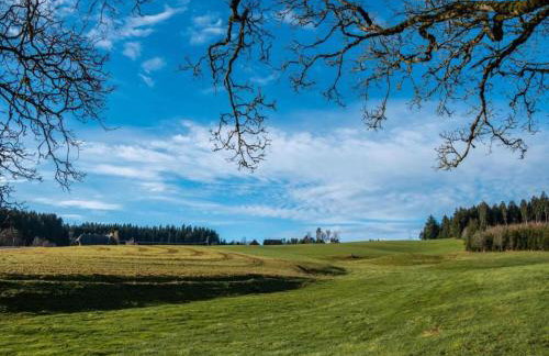 Ferienhaus, Sankt Georgen - Foto 29