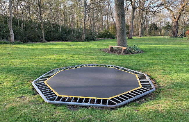 Whitmoor Farm - Foto 75