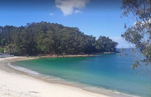 Estudio Camelia - Foto 25