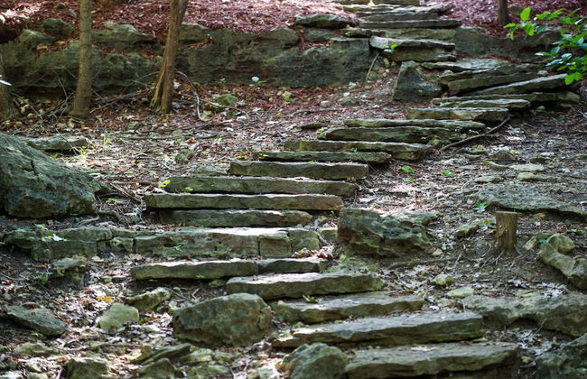 Cabins at Green Mountain - Photo 58