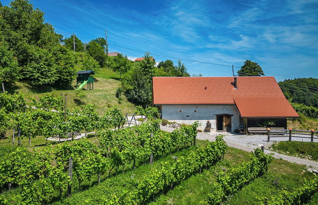 Vineyard Cottages Škatlar - Foto 50