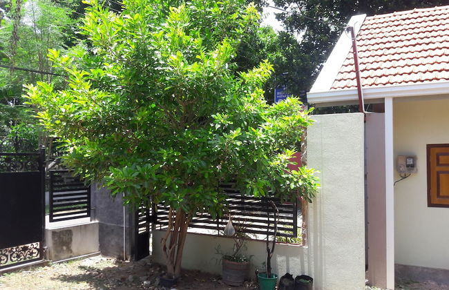 Roo Neeroga - Foto 7