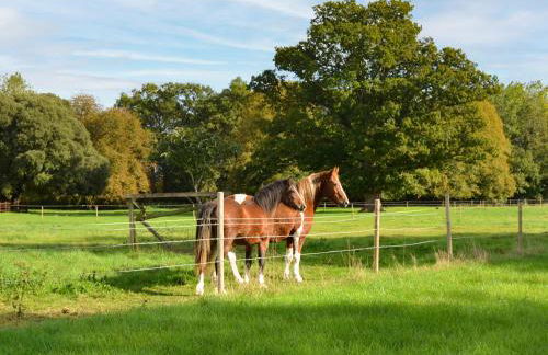 Park View - Ukc4925 - Photo 22