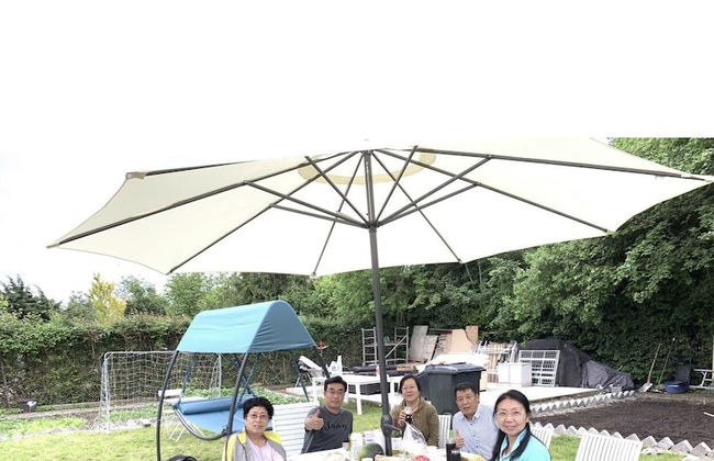 Rose Gerden Apartments and rooms - Foto 32