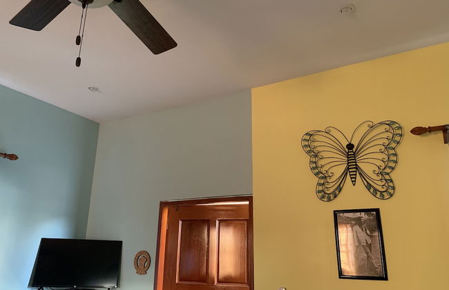 The Lily Pad II - Foto 19