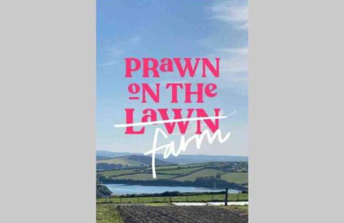 Lowena Lodge - Padstow - Foto 36