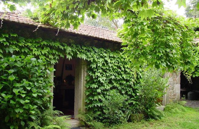 Quinta da Picaria - Foto 26