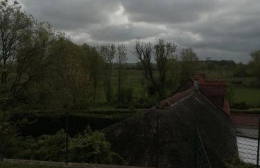 Le chant des grenouilles - Foto 8