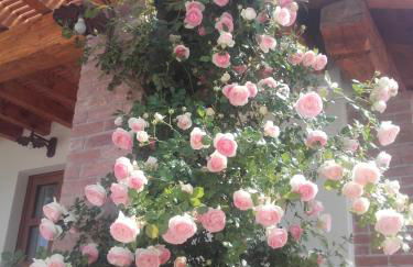 Corte di Tosina - Foto 61