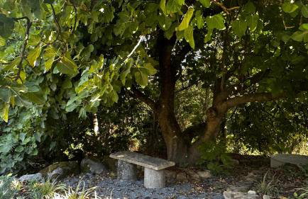 Quinta do Codeçal - Foto 34