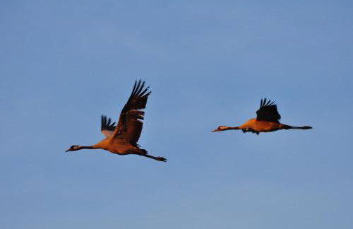 Swobodna 6 - Foto 62