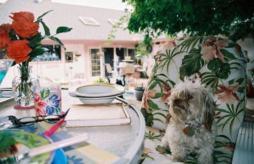 Little Slice of England in Texas - Foto 15