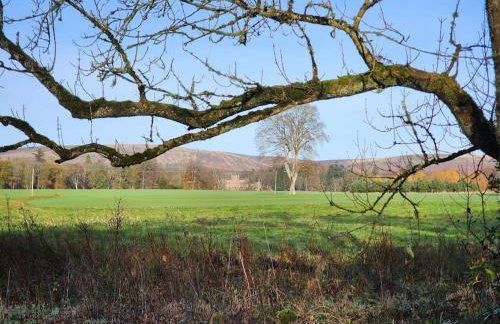 Cosy Apartment in Fettercairn - Foto 17