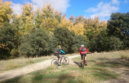 Estrella rural casa rural en la Sierra de Madrid - Foto 53