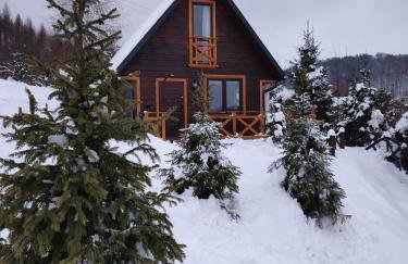 Domki Bieszczadzki Czar Rodzinny 661-850-410 - Photo 70