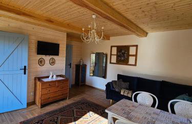 Błękitny Domek- dom i dwa oddzielne apartamenty - Foto 66