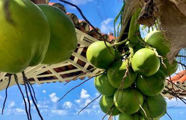Condomínio Praias de Maragogi & Casas Deluxe - Photo 132