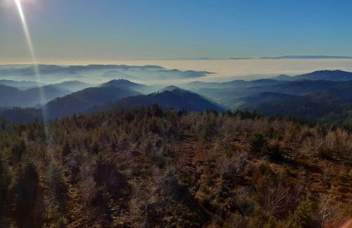 Ferienhof Giedensbach - Foto 22