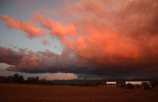 Wolvekraal Guest Farm - Foto 37