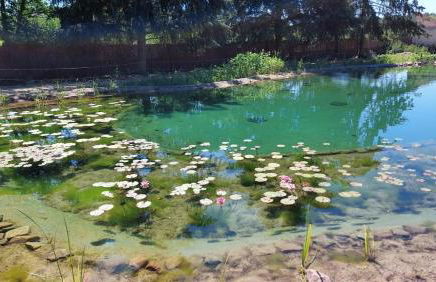 Glamping im beheizten Campingfass auf Leo's Farm - Foto 10