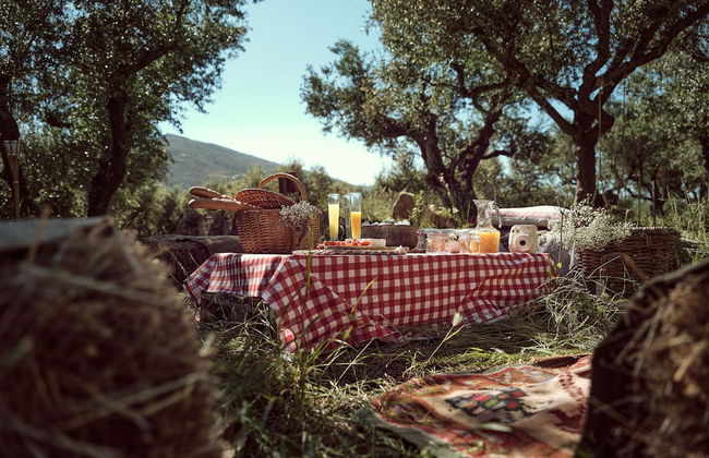 Leeda's Cottages - Foto 43