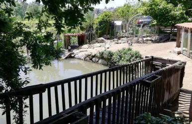 My Portugal for All - Lousada Villa - Foto 50