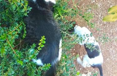 Apartman Garma - Photo 20