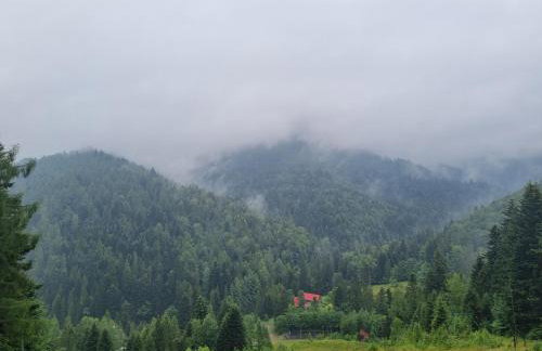 Przytulne Apartamenciki tuż przy Termach i Parku, nieopodal szlak na Turbacz, GPN, KGP - Foto 46