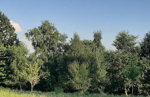 Gosp. Agroturystyczne Stary Gaj - Foto 74