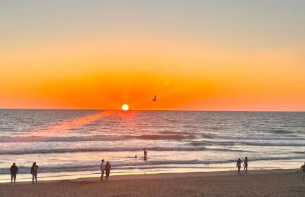 Jolie maison de vacances avec terrasse et jardin - Foto 30