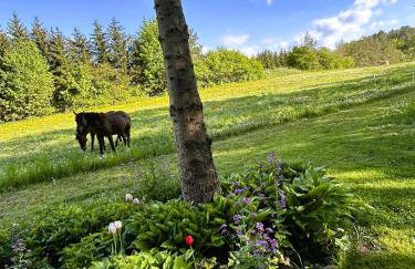 Masuria Hut - Foto 26