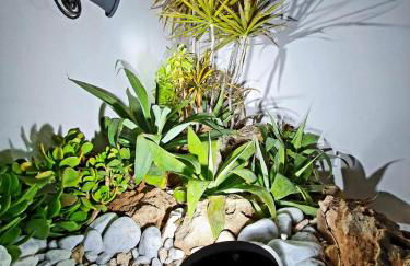 La Perla di Marzamemi - Foto 14